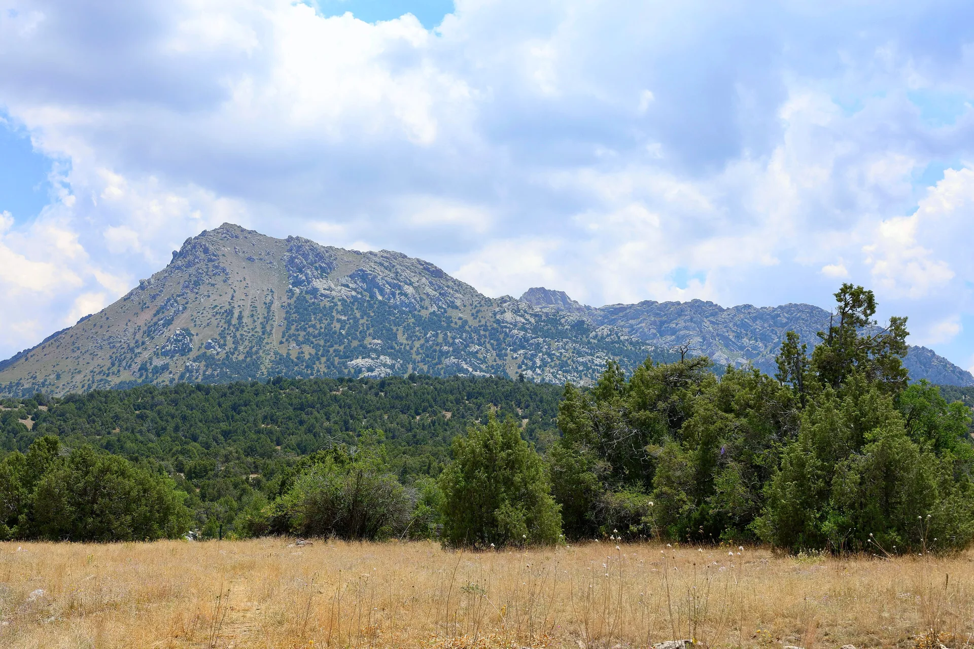 Summer meadows below the peaks of the Turkestan range in Zaamin, one of the oldest protected areas in Central Asia, known for its juniper forests.