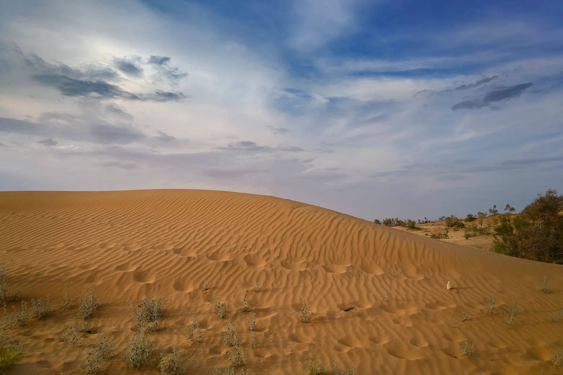 Nature & Landscapes — Mountains, steppe and red sand